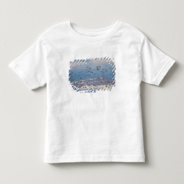 Snow geese during spring migration toddler t-shirt (Front)