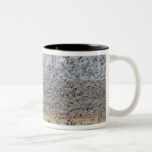 Snow geese during spring migration Two-Tone coffee mug