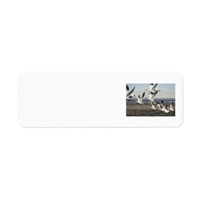 Snow Geese In Flight Custom Return Address Labels