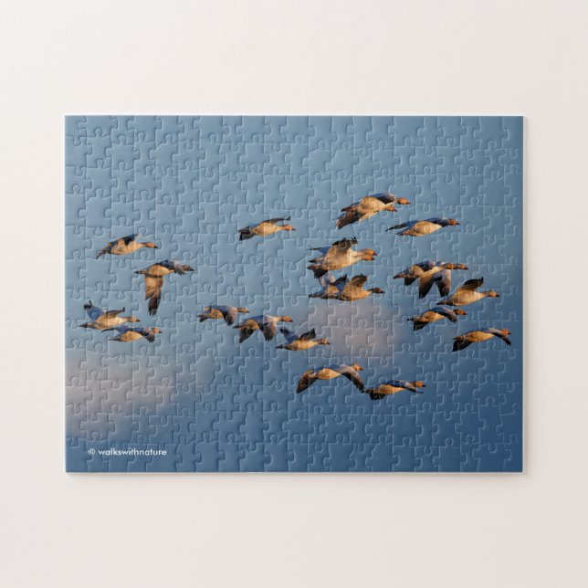 Snow Geese in Sunset Flight Jigsaw Puzzle (Horizontal)