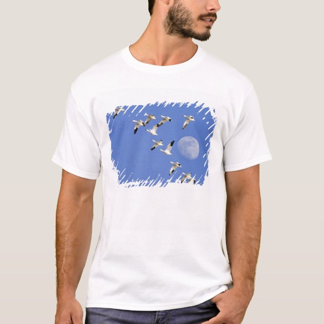 Snow geese take flight at Freezeout Lake NWR T-Shirt (Front)
