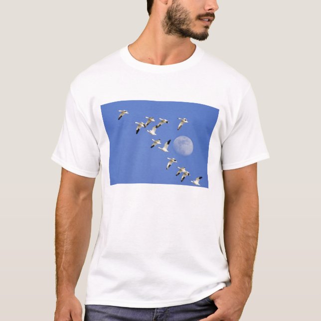 Snow geese take flight at Freezeout Lake NWR T-Shirt (Front)