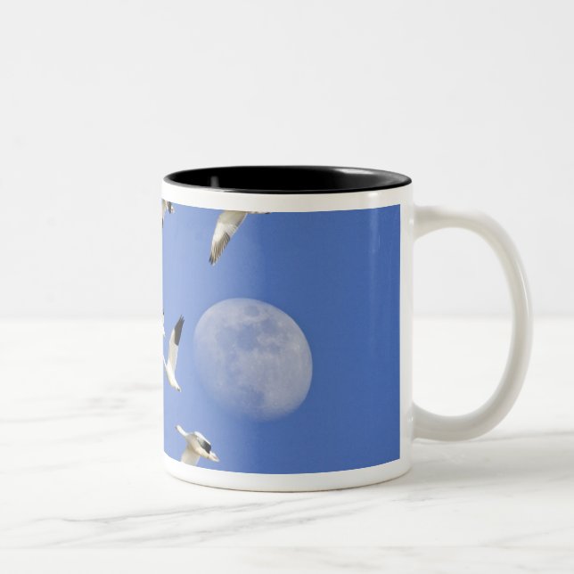 Snow geese take flight at Freezeout Lake NWR Two-Tone Coffee Mug (Right)