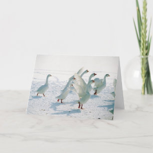 Snow Geese Xmas Holiday Christmas Blank Inside
