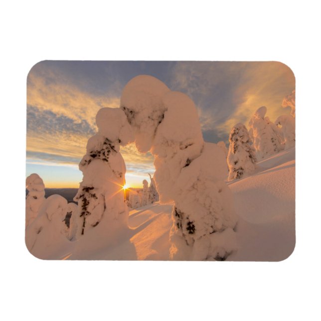 Snow Ghosts In The Whitefish Range Magnet (Horizontal)
