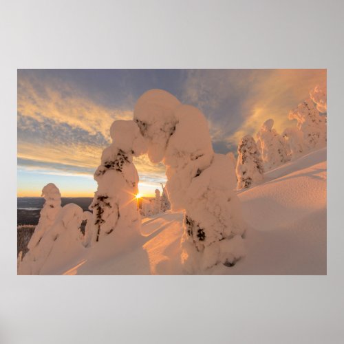 Snow Ghosts In The Whitefish Range Poster