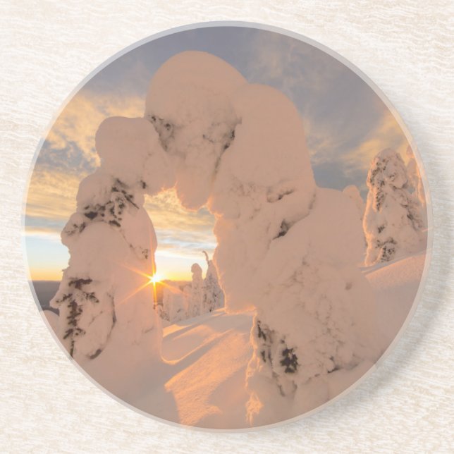 Snow Ghosts In The Whitefish Range Sandstone Coaster (Front)