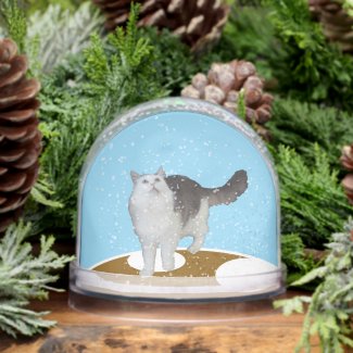 Snow Globe - Cat Looking Up