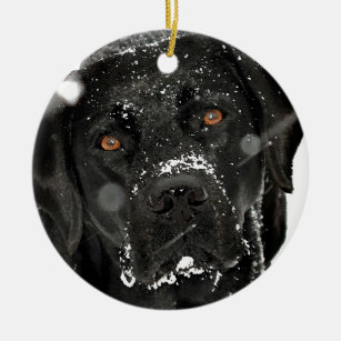 Snow Globe - Snow Dog - Black Labrador Ceramic Ornament