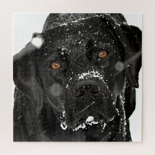 labrador jigsaw puzzle