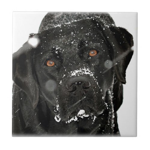 Snow Globe _ Snow Dog _ Black Labrador Tile