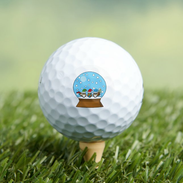 Snow Globe with Three Gnome Owls Golf Balls (Insitu Tee)