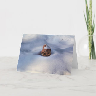 Snow Gome Card