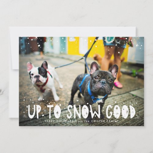 Snow Good  Pet Holiday Photo Card