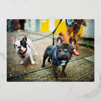 Snow Good | Pet Holiday Photo Card