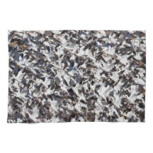 Snow Goose blast off