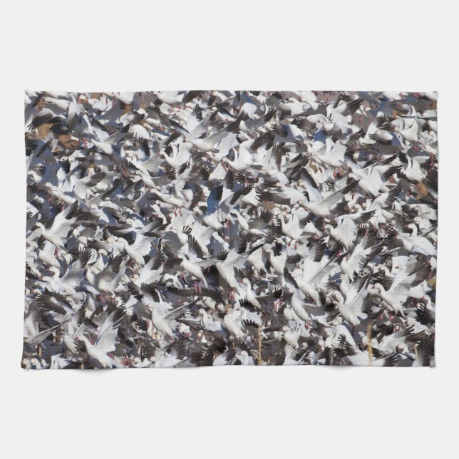 Snow Goose blast off Kitchen Towel (Horizontal)