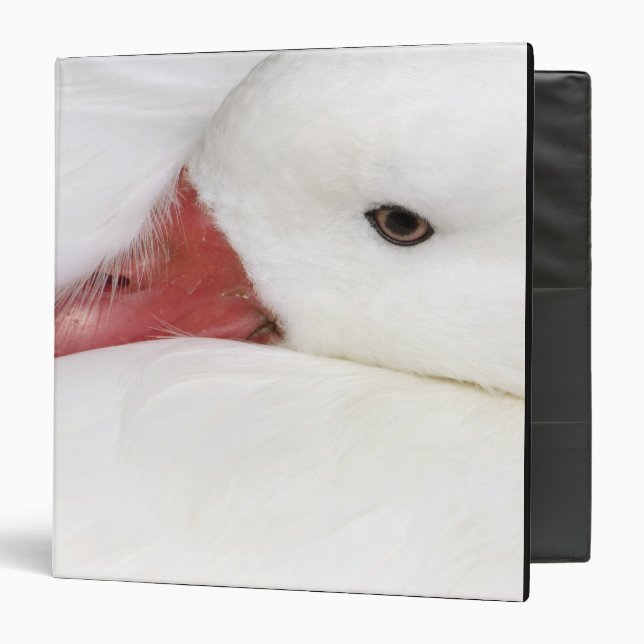 Snow Goose Chen caerulescens Binder (Front/Inside)