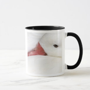 Snow Goose Chen caerulescens Mug
