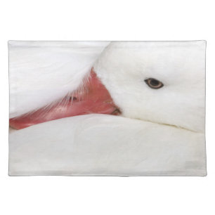 Snow Goose Chen caerulescens Placemat