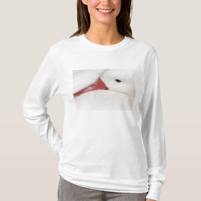 Snow Goose Chen caerulescens T-Shirt (Front)