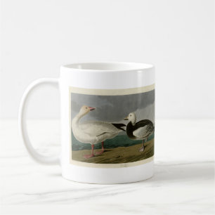 Snow Goose from Audubon's Birds of America Coffee Mug