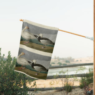Snow Goose from Audubon's Birds of America House Flag