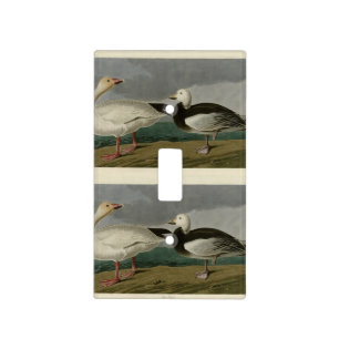 Snow Goose from Audubon's Birds of America Light Switch Cover