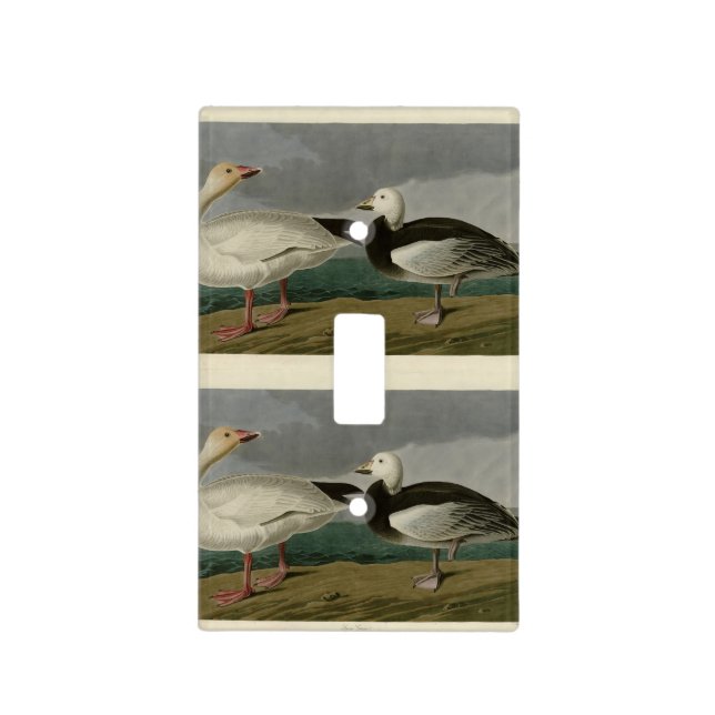 Snow Goose from Audubon's Birds of America Light Switch Cover (Front)