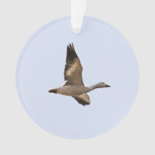Snow Goose Ornament