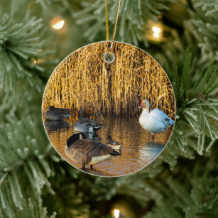 Snow Goose Ornament