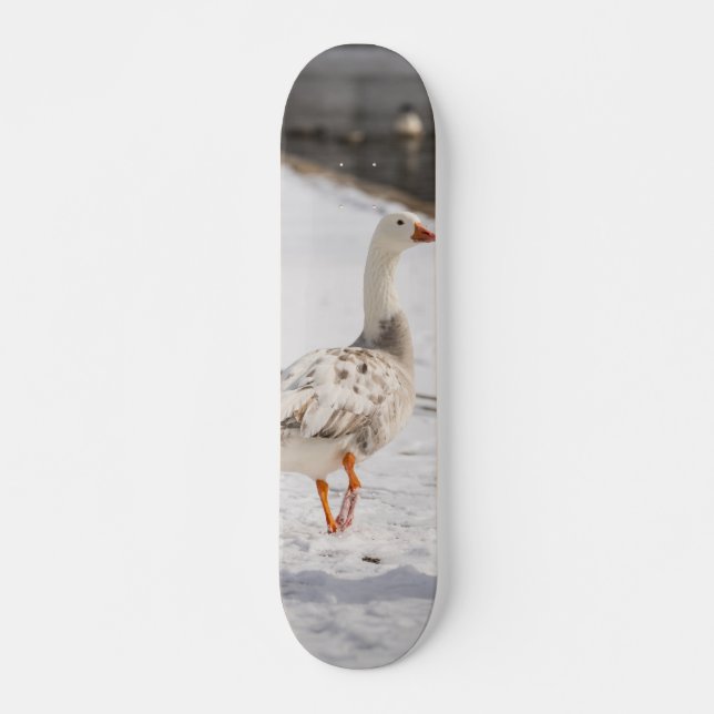 Snow Goose Strut Skateboard (Front)