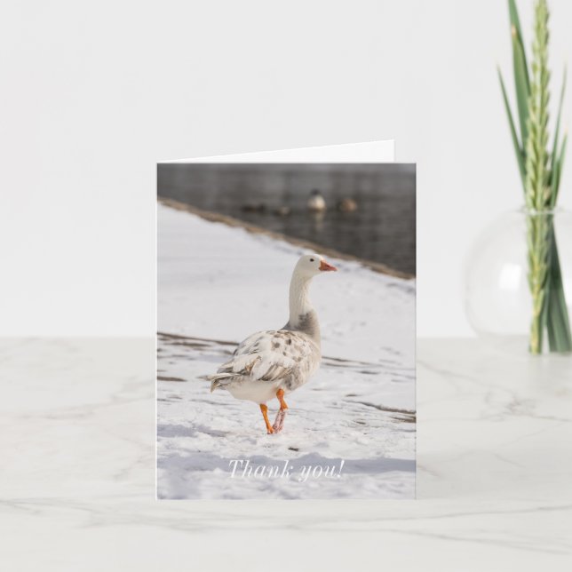 Snow Goose Strut Thank You Card (Front)