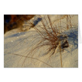 Snow Grass (Front Horizontal)