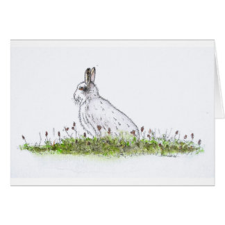 Snow Hare Cards