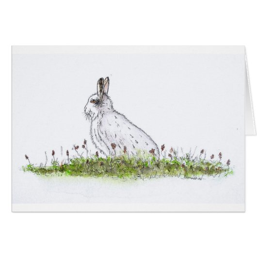 Snow Hare Cards (Front Horizontal)