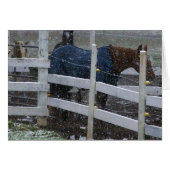 Snow Horses (Front Horizontal)