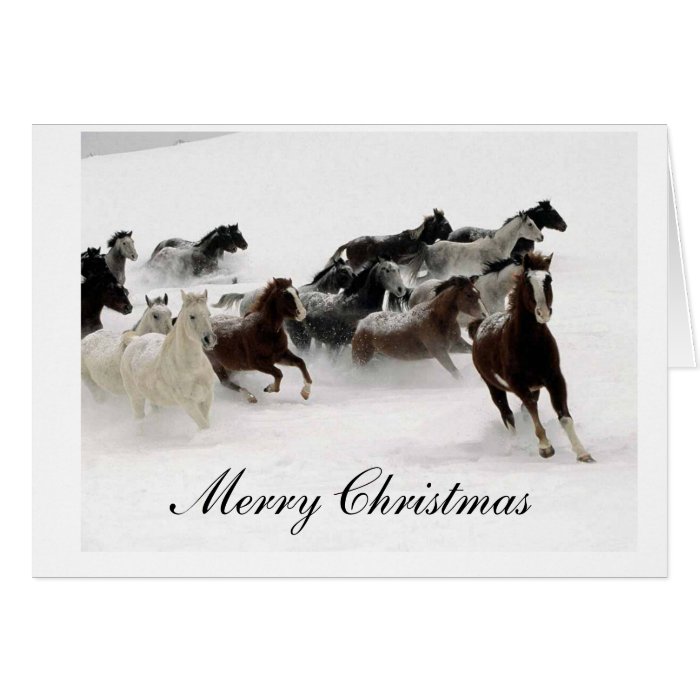 Snow Horses Merry Christmas Greeting Card