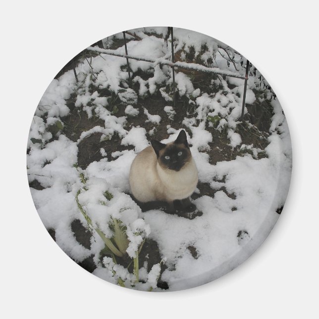 Snow Images, Snow Cat Magnet (Front)