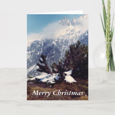 Snow In Alpine Mountain Christmas Card