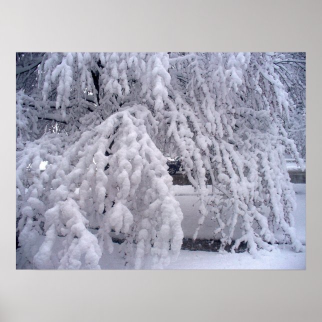 Snow In April Poster (Front)