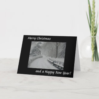 Snow in Central Park Holiday Card