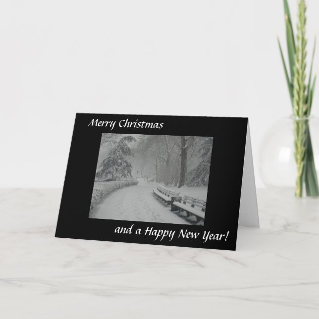 Snow in Central Park Holiday Card (Front)