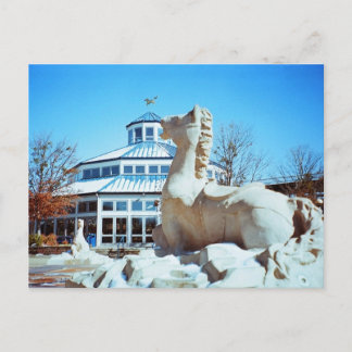 Snow in Coolidge Postcard