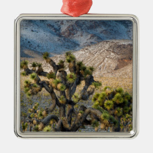 Snow In Death Valley Metal Ornament