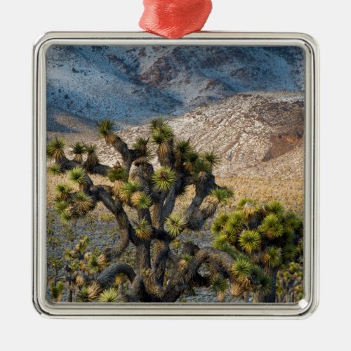 Snow In Death Valley Metal Ornament