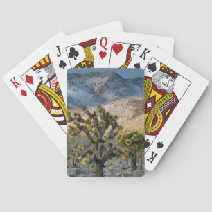 Snow In Death Valley Poker Cards