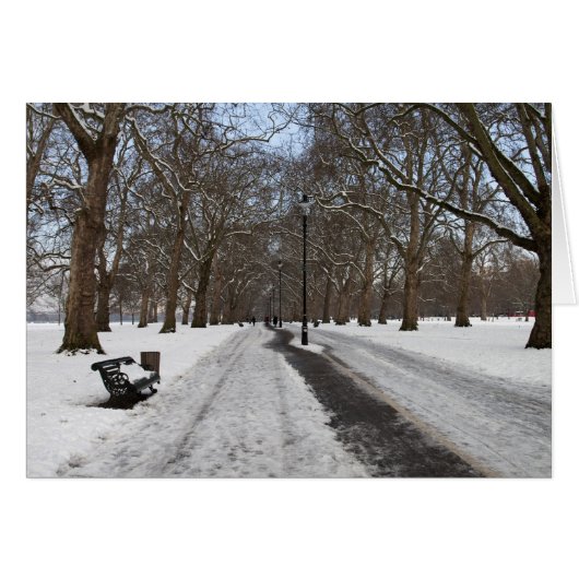Snow in Hyde Park Cards (Front Horizontal)
