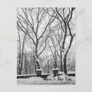 Snow in New York Postcard