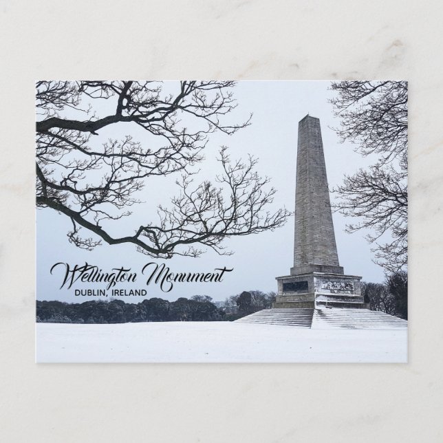 Snow in Phoenix Park, Dublin, Ireland Postcard (Front)